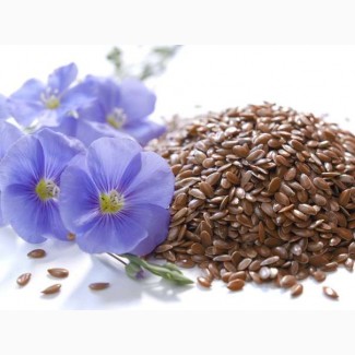 Лен. Flax seeds. Export