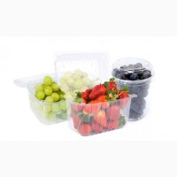 Пластиковый контейнер с перфорацией для упаковки фруктов, ягод и овощей