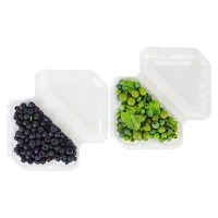 Пластиковый контейнер с перфорацией для упаковки фруктов, ягод и овощей