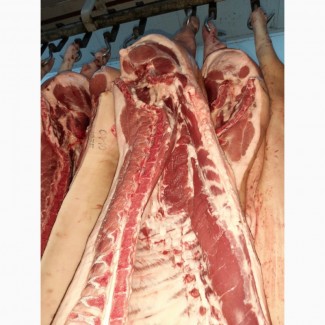 ООО Сантарин, закупает мукозу, свинину в полутушах 1-2 категории у производителей