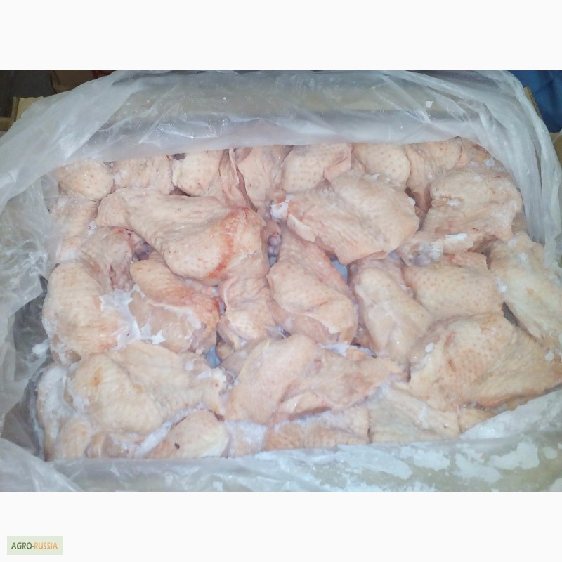 Фото 9. Оптовая Продажа мяса индейки от производителя