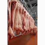 Купите мясо, свинина оптом от 1 тонны