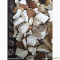Белые грибы замороженные оптом