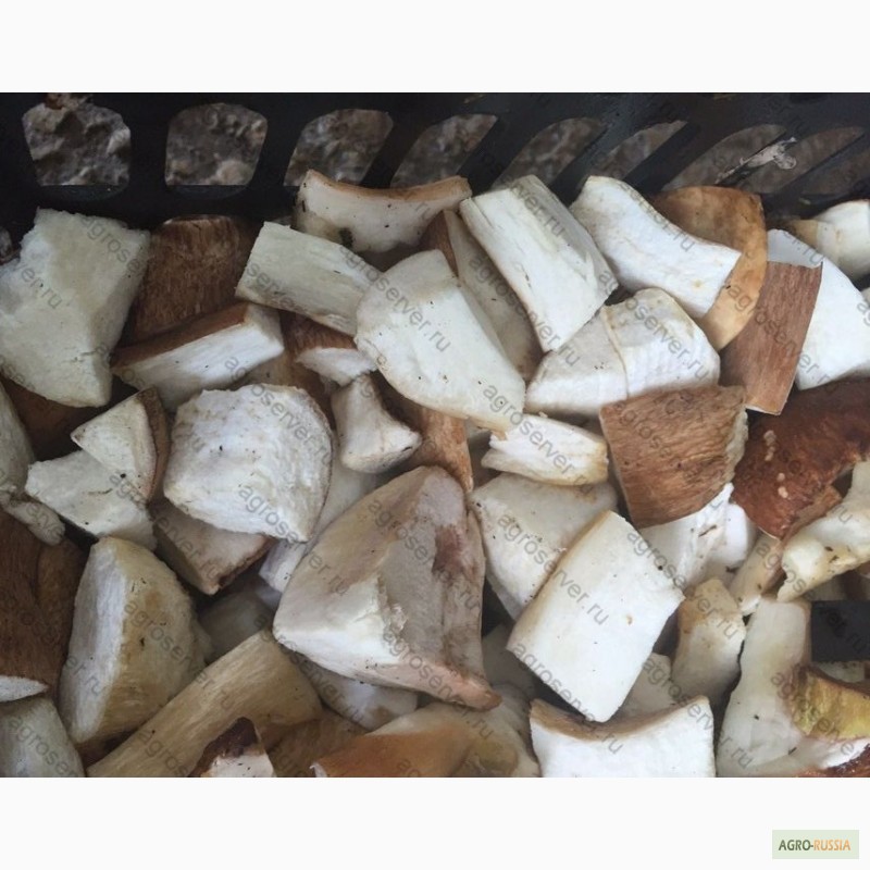 Фото 4. Белые грибы замороженные оптом