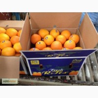 Апельсины оптом Египет