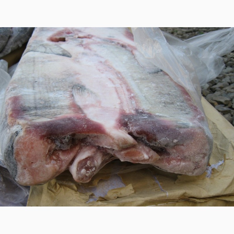 Фото 2. ООО Сантарин, реализует рыбу.морепродукты, икру
