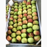 Осуществляем оптовую поставку яблок различных сортов по выгодным ценам
