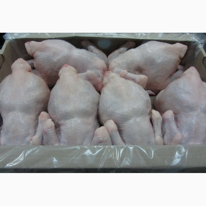 Фото 2. Говядина н/к, б/к, Мясо цыплят бройлера, куриное филе