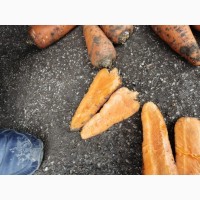 Морковь абако, каскад 1, 2 сорт, крупная по 14 мелкая по 10, на переработку по 5, 50