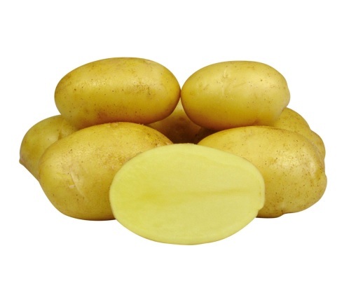 Семенной картофель сорт Королева Анна