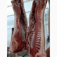 ООО Сантарин, реализует мукозу, свинину в полутушах, шпик, мясо блочное