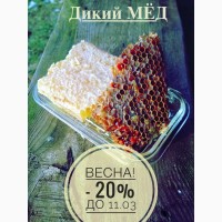 Дикий (бортевой) мёд из Беларуси. Сбор 2020 года