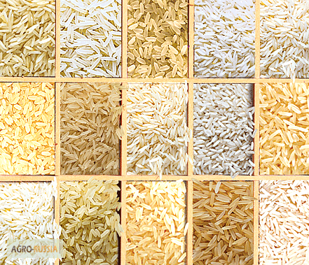 Фото 2. Оптовая продажа и поставки риса с завода в Пакистане