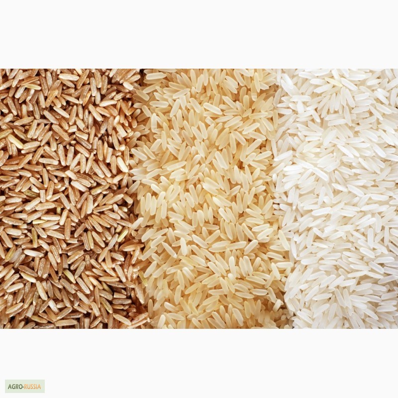 Фото 3. Оптовая продажа и поставки риса с завода в Пакистане