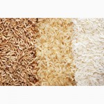 Оптовая продажа и поставки риса с завода в Пакистане