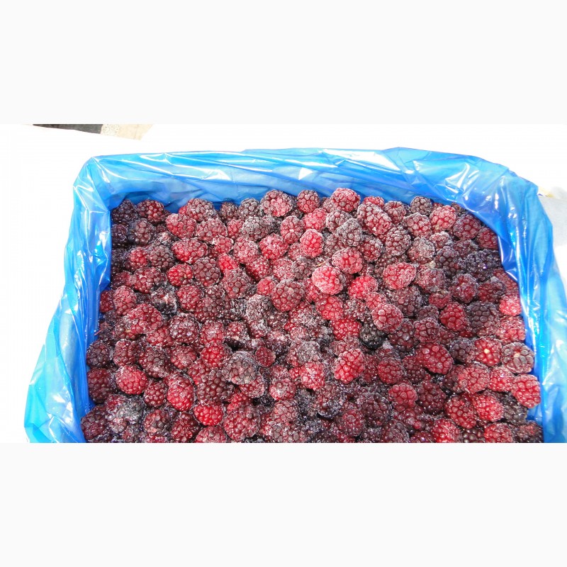 Фото 7. Свежезамороженные ягоды