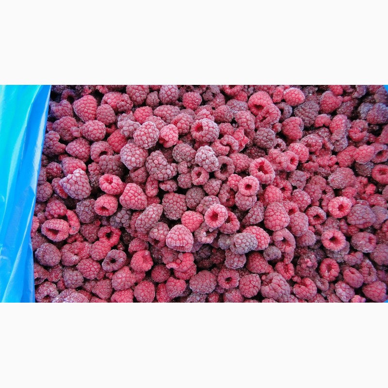 Фото 8. Свежезамороженные ягоды