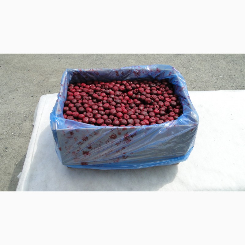 Фото 6. Свежезамороженные ягоды