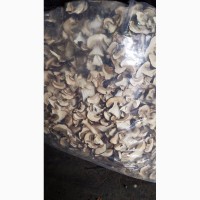 Белый сушеный гриб