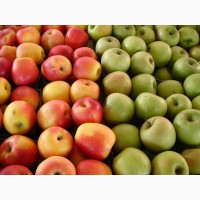 Оптовые поставки яблок из фермерских хозяйств Краснодара