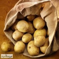 Картофель урожая 2018 года