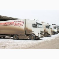 Закупаем сахар вагонами и машинами с доставкой в Пермь