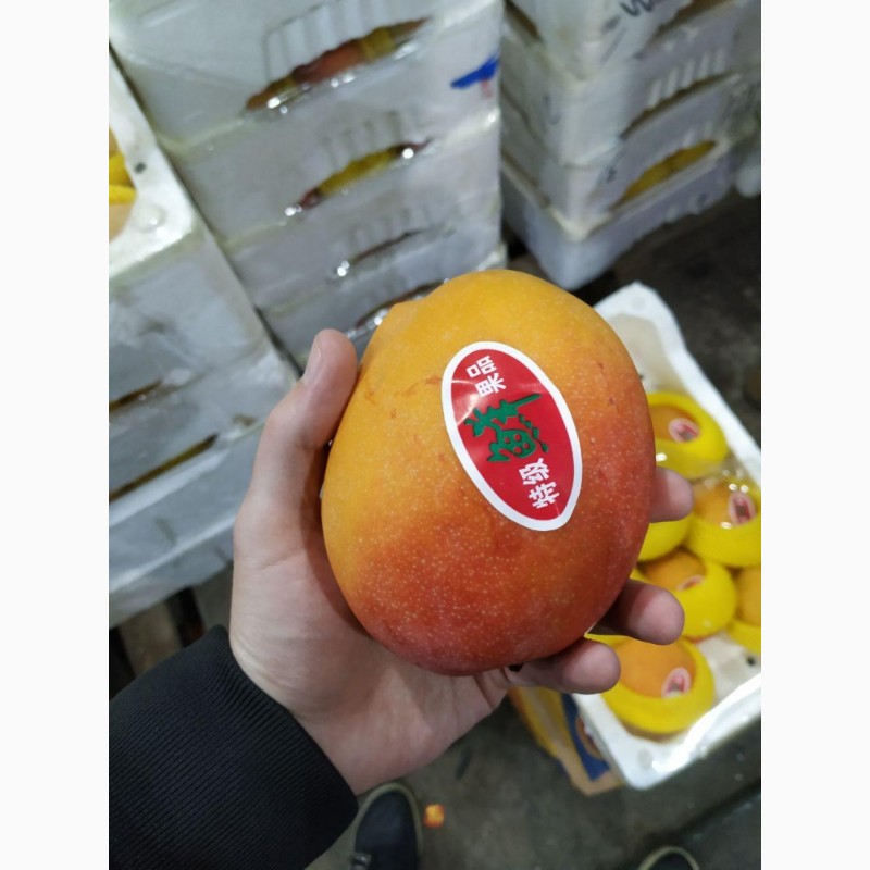 Фото 2. Свежее манго из Китая в наличии на складе в Хабаровске