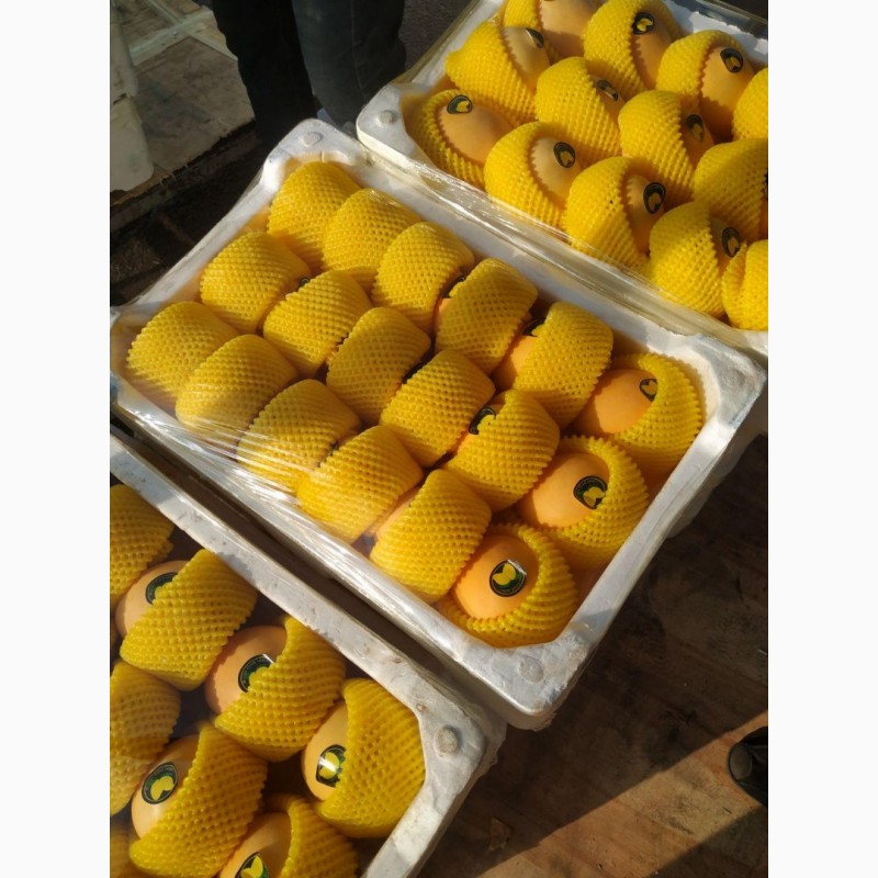Фото 6. Свежее манго из Китая в наличии на складе в Хабаровске