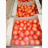 Продаем помидоры