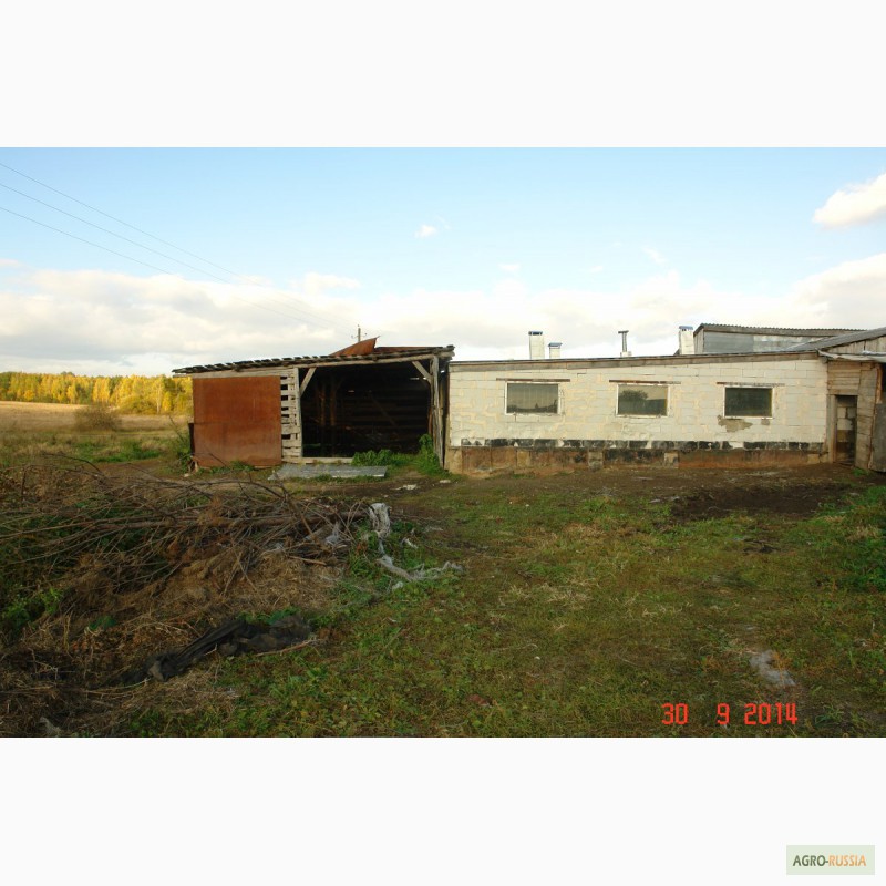 Фото 15. Продается мини-ферма со своим пастбищем и жилым домом в 250 км от Москвы