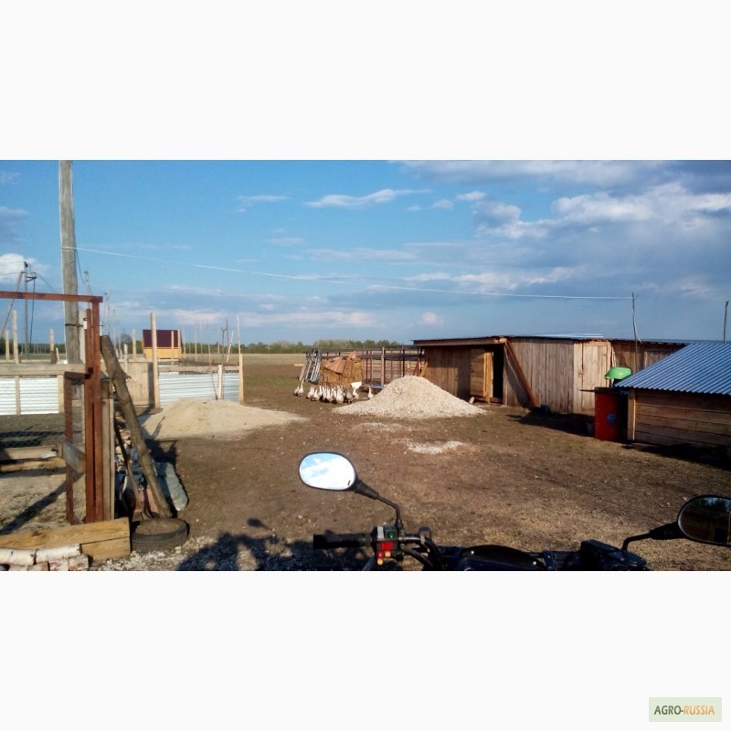 Фото 9. Продам фермерское хозяйство с участком 55ГА и постройками в 200 км от МКАДа