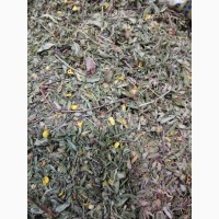 Курильский чай (лист, цвет) (оптом от 5кг)