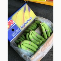 Продам фрукты, отправка в регионы