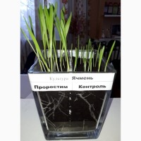 Стимулятор роста растений - органическое удобрение ПроРостим