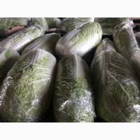 Продам пекинскую капусту (китайский салат)