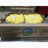 Продам картофель очищенный, упаковка вакуумный ПЭТ пакет, массой 1 кг., 5 кг