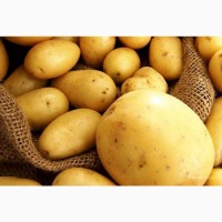Картофель со склада без болезней