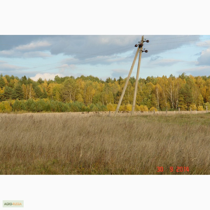 Фото 11. Продается зем. участок 90ГА с мини-фермой и жилым домом в 250 км от Москвы