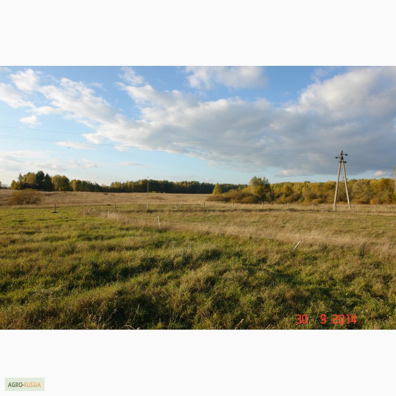 Фото 2. Продается зем. участок 90ГА с мини-фермой и жилым домом в 250 км от Москвы