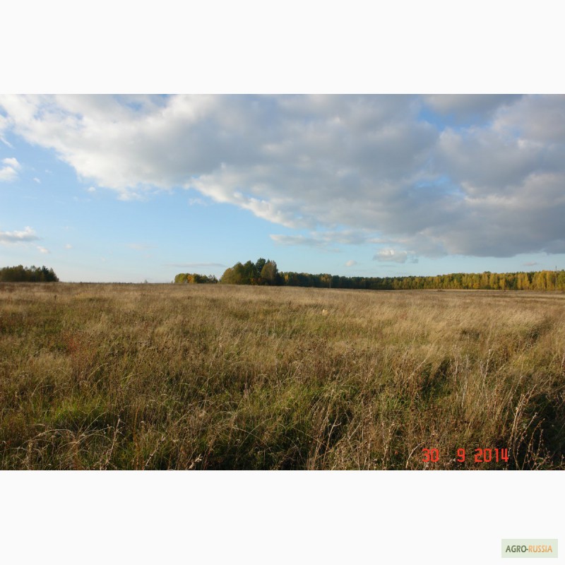 Фото 9. Продается зем. участок 90ГА с мини-фермой и жилым домом в 250 км от Москвы