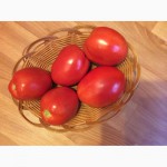 Продам помидоры, сортВолгоградский и Сливка