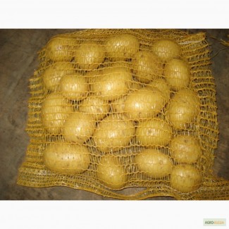 Куплю картофель оптом в Самаре