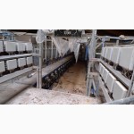 Оборудование фермы для содержания молочного стада КРС