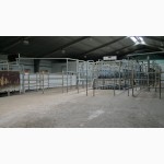Оборудование фермы для содержания молочного стада КРС