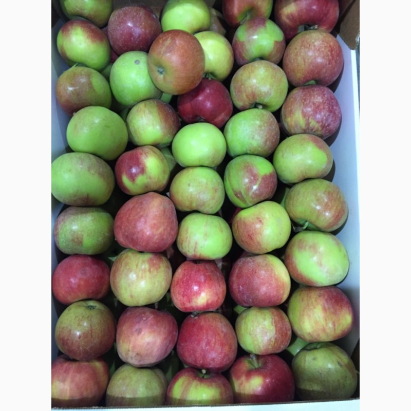 Фото 8. Яблоки оптом от 60 тонн