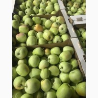Яблоки собственного производства