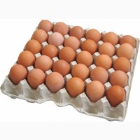 Закупаем яйца куриные оптом
