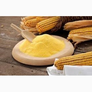 Глютен кукурузный продам