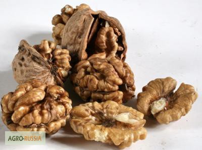 Фото 5. Продаем сухофрукты и орехи высшего качества, натуральной сушки