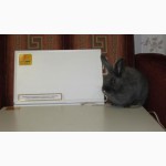 Инфракрасные обогреватели для крольчатников и птичников
